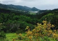 terreno_a_venda_garopaba_macacu