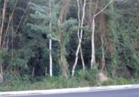 terrenos-a-venda-macacu-garopaba