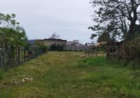terreno-venda-garopaba-palhocinha (1)