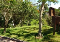 Área verde arborizada do loteamento — Loteamento Jardim Panorâmico