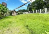 Terreno plano com gramado verde